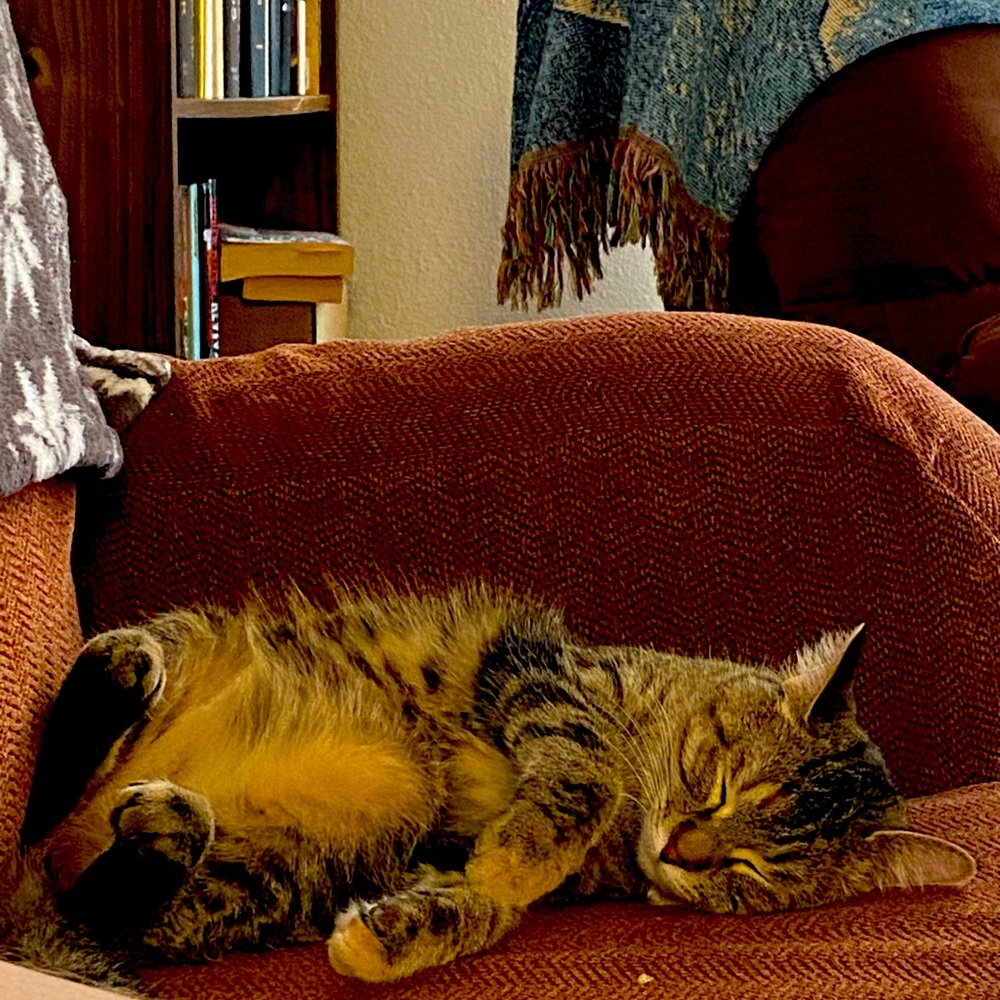 Meet your Posher, William